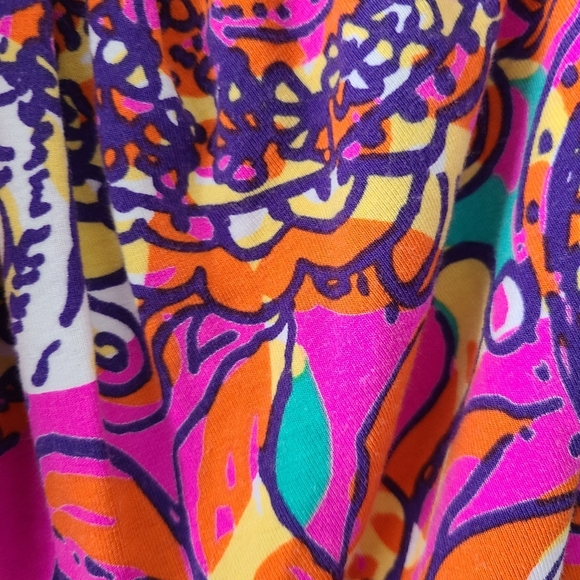 Lilly Pulitzer Atwood Dress - Picture 4 of 6